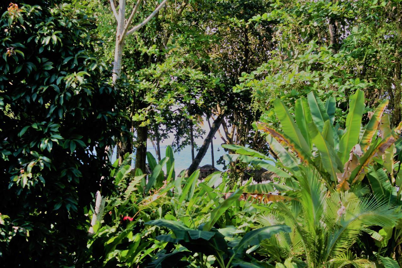 Casa Natural Puerto Viejo Hotell Puerto Viejo de Talamanca Exteriör bild