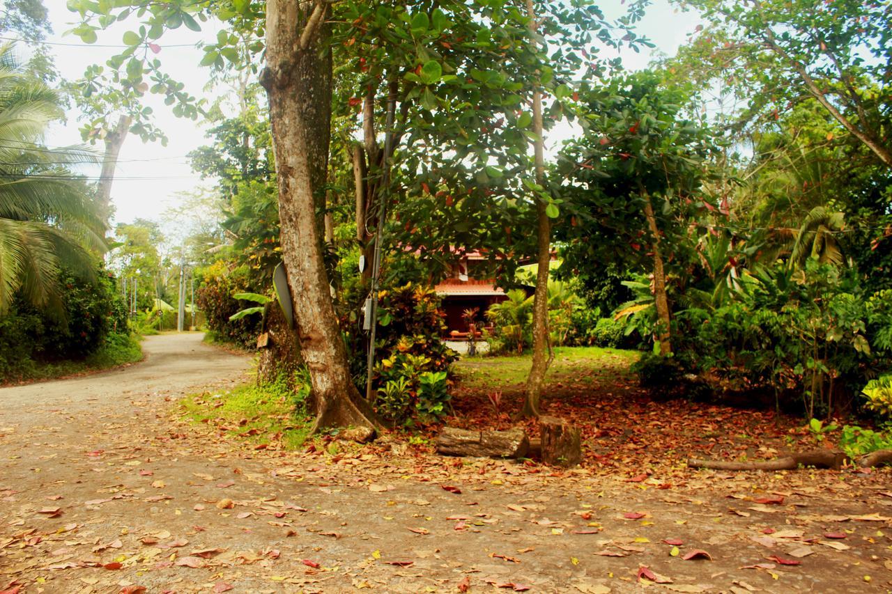 Casa Natural Puerto Viejo Hotell Puerto Viejo de Talamanca Exteriör bild